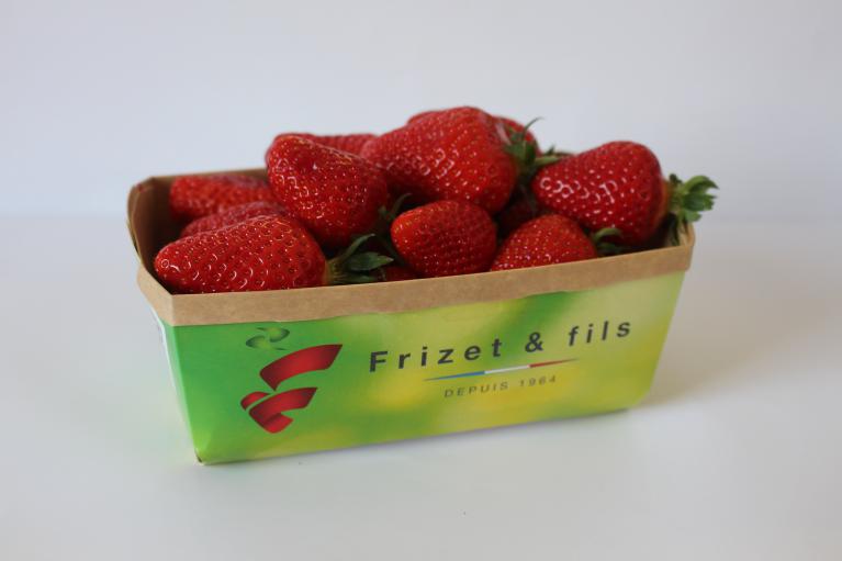 Fraise barquette 500g