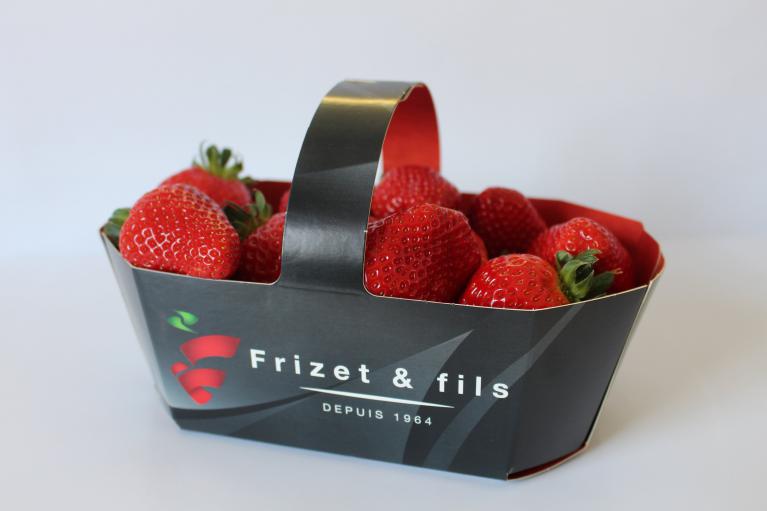 Fraise panier 750g